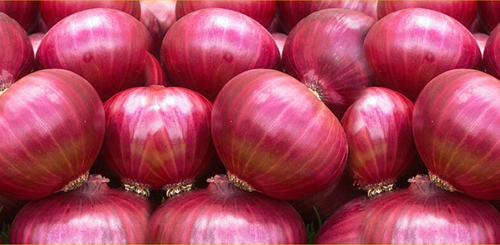 onion-small1